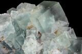 Blue-Green, Cubic Fluorite Crystal Cluster - Morocco #98992-1